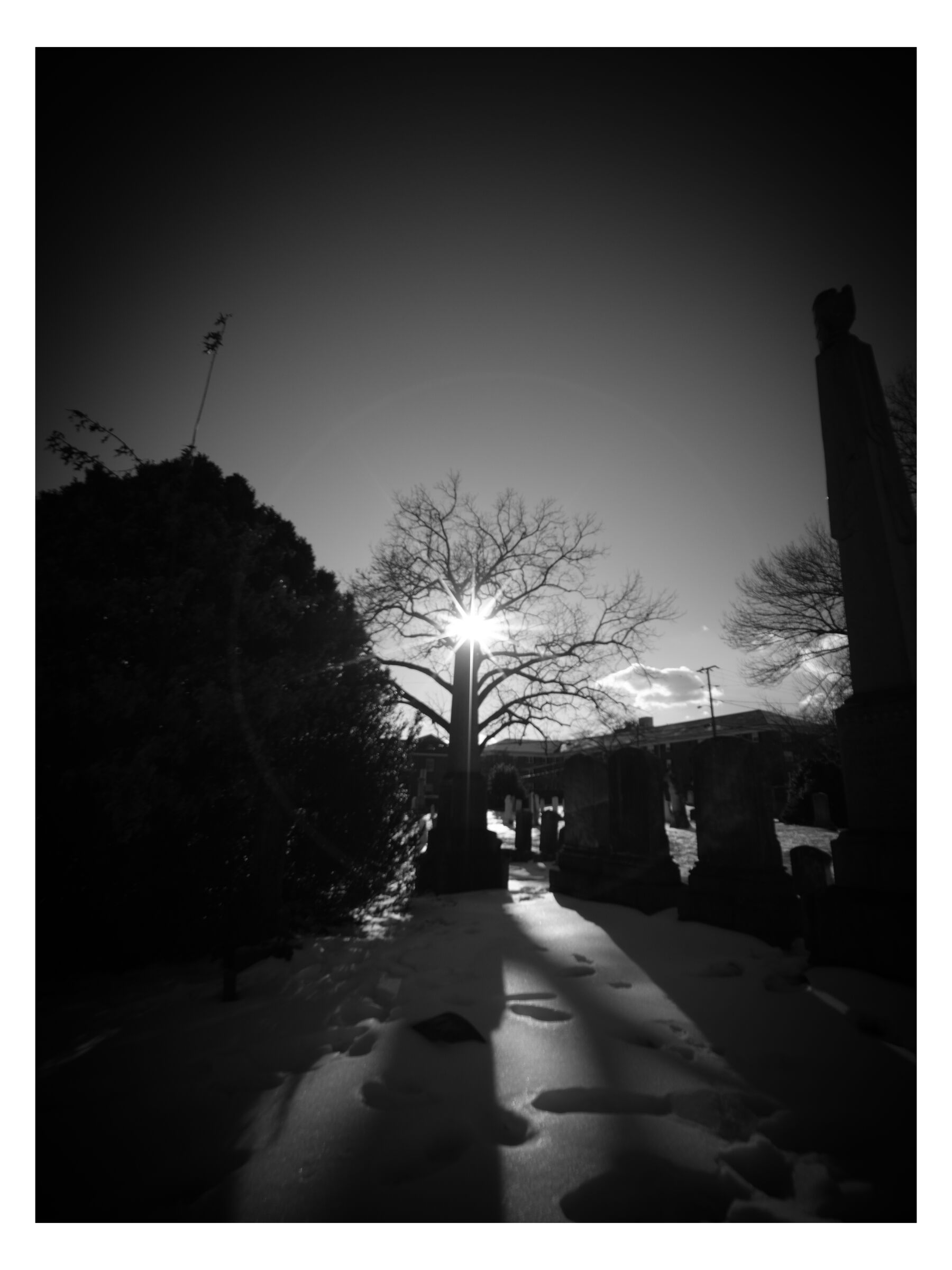 Abstract photograph 6 by William Everett