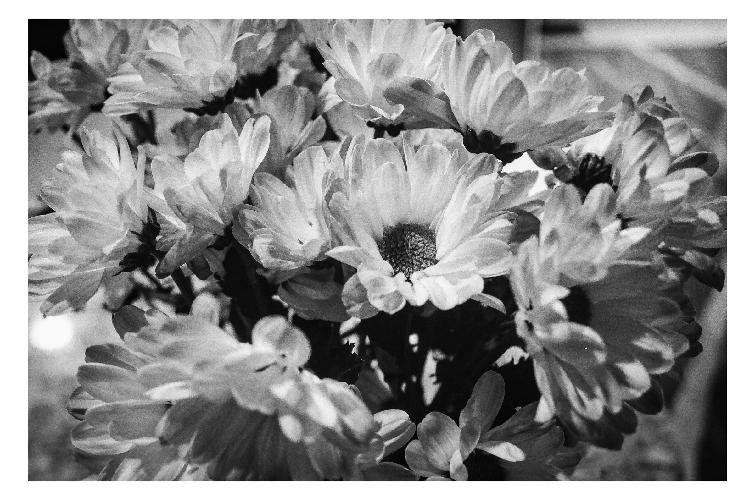 Abstract photograph 10 by William Everett