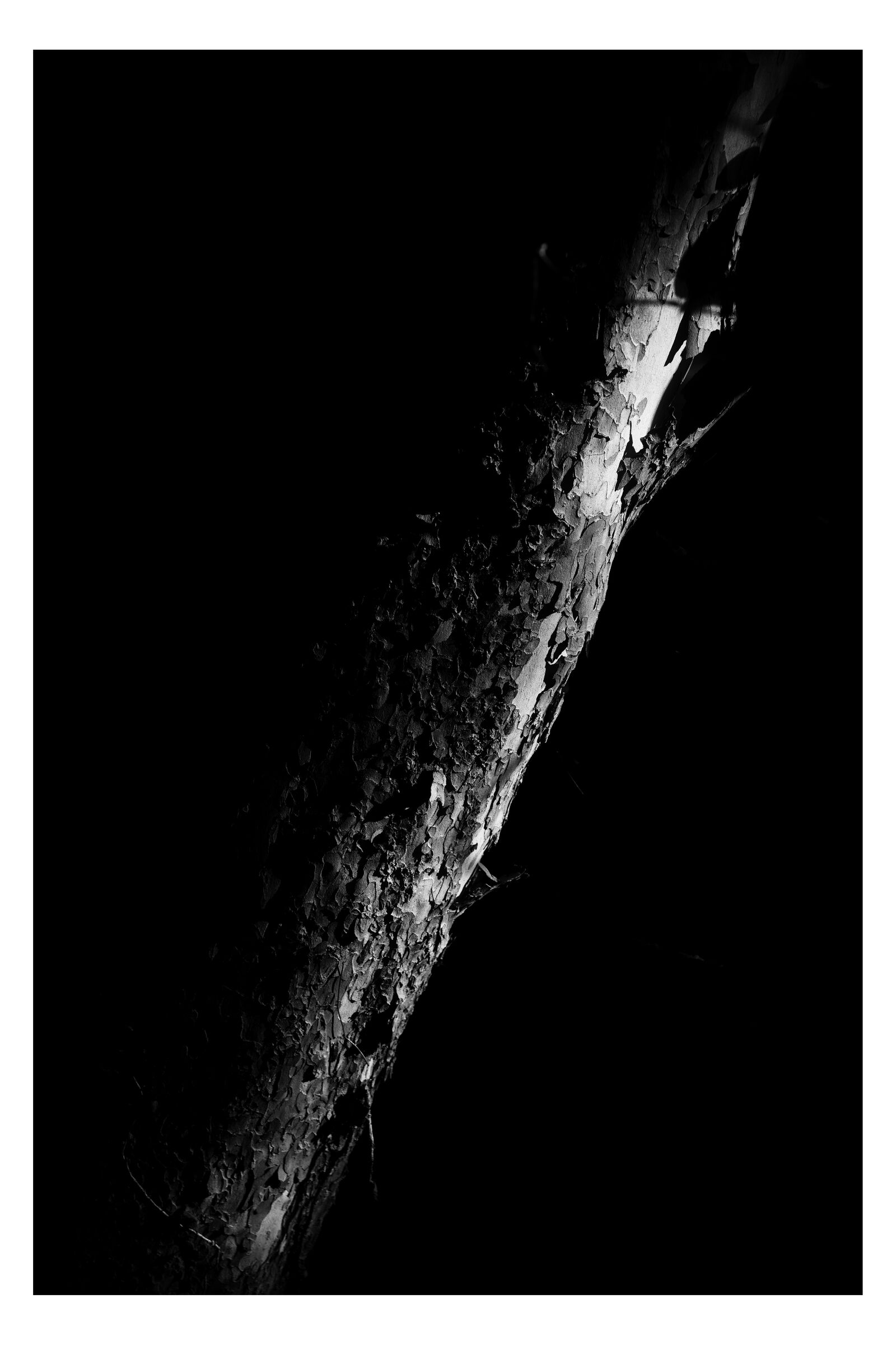 Abstract photograph 19 by William Everett