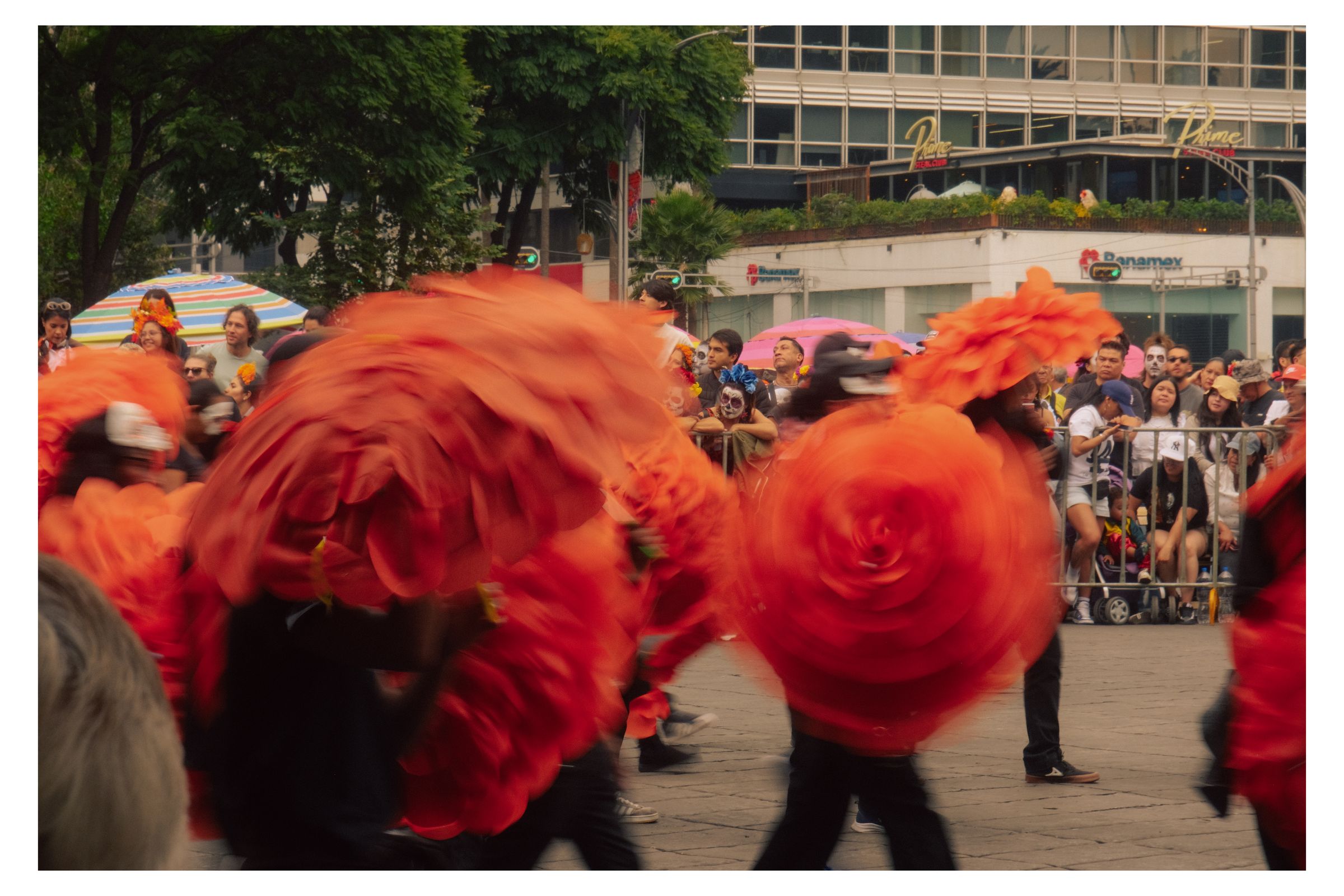 Día de los Muertos photograph 31 by William Everett