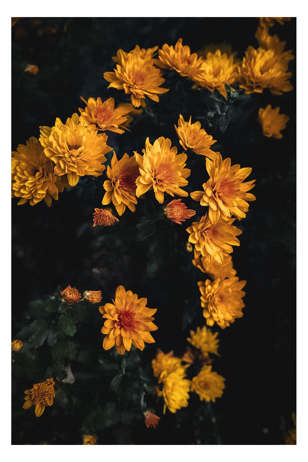 Nature photograph 12 by William Everett