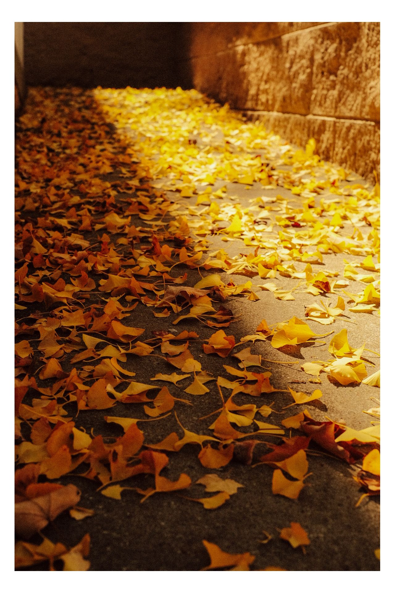 Nature photograph 14 by William Everett