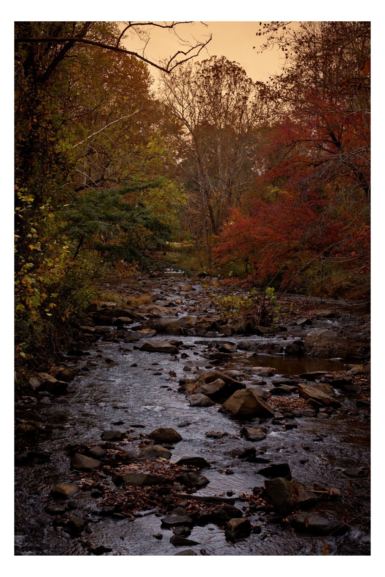 Nature photograph 24 by William Everett