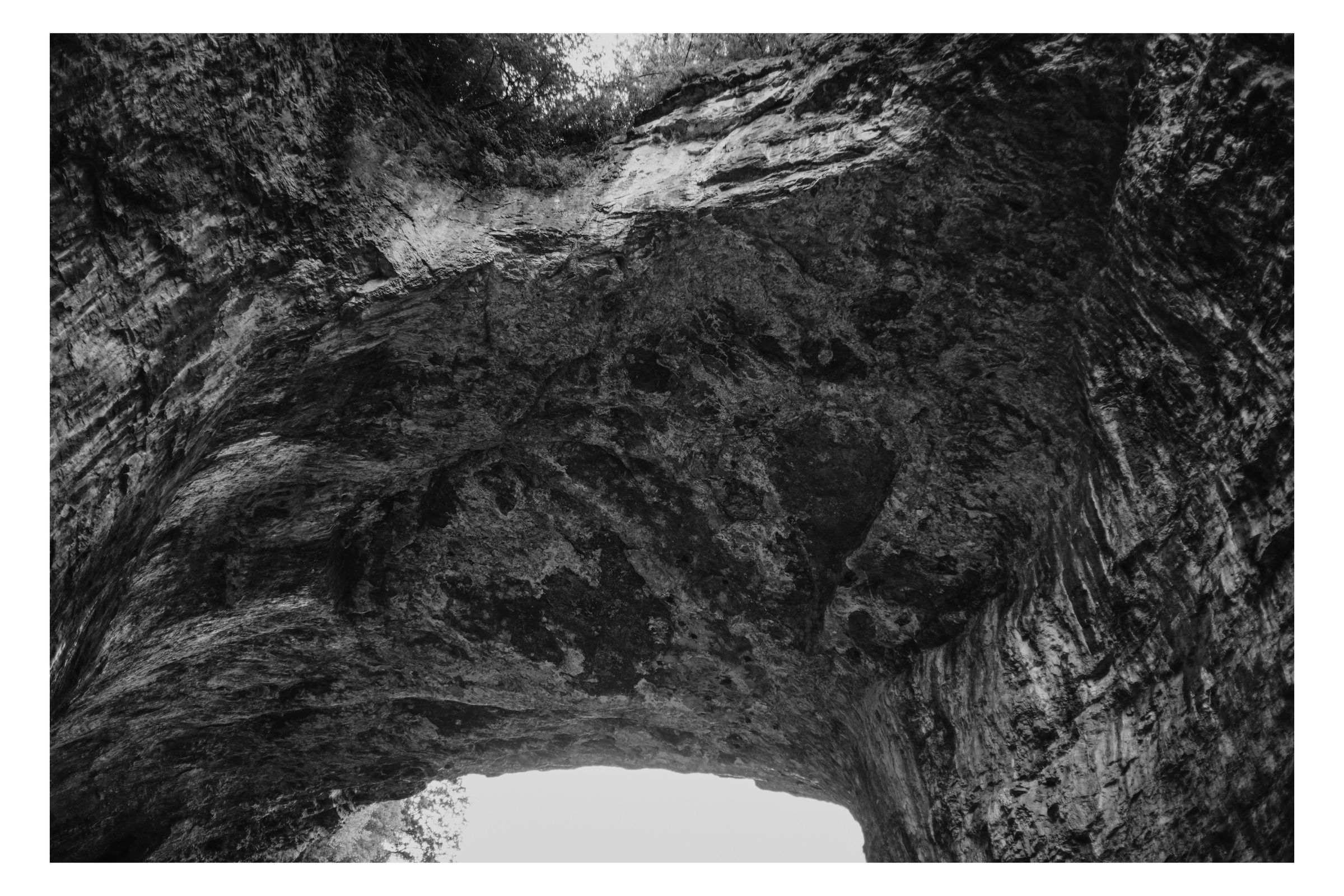 Nature photograph 34 by William Everett