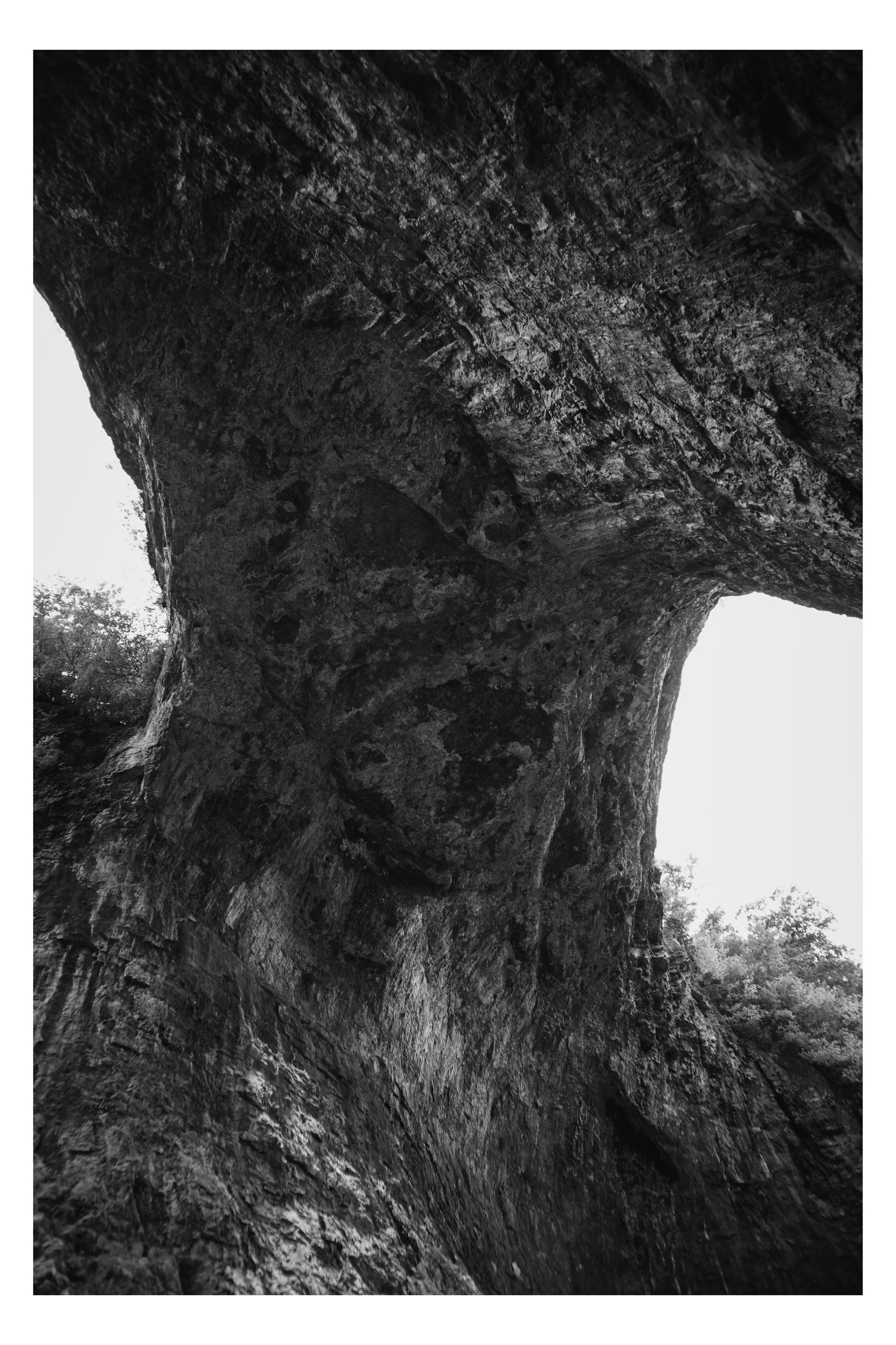 Nature photograph 35 by William Everett