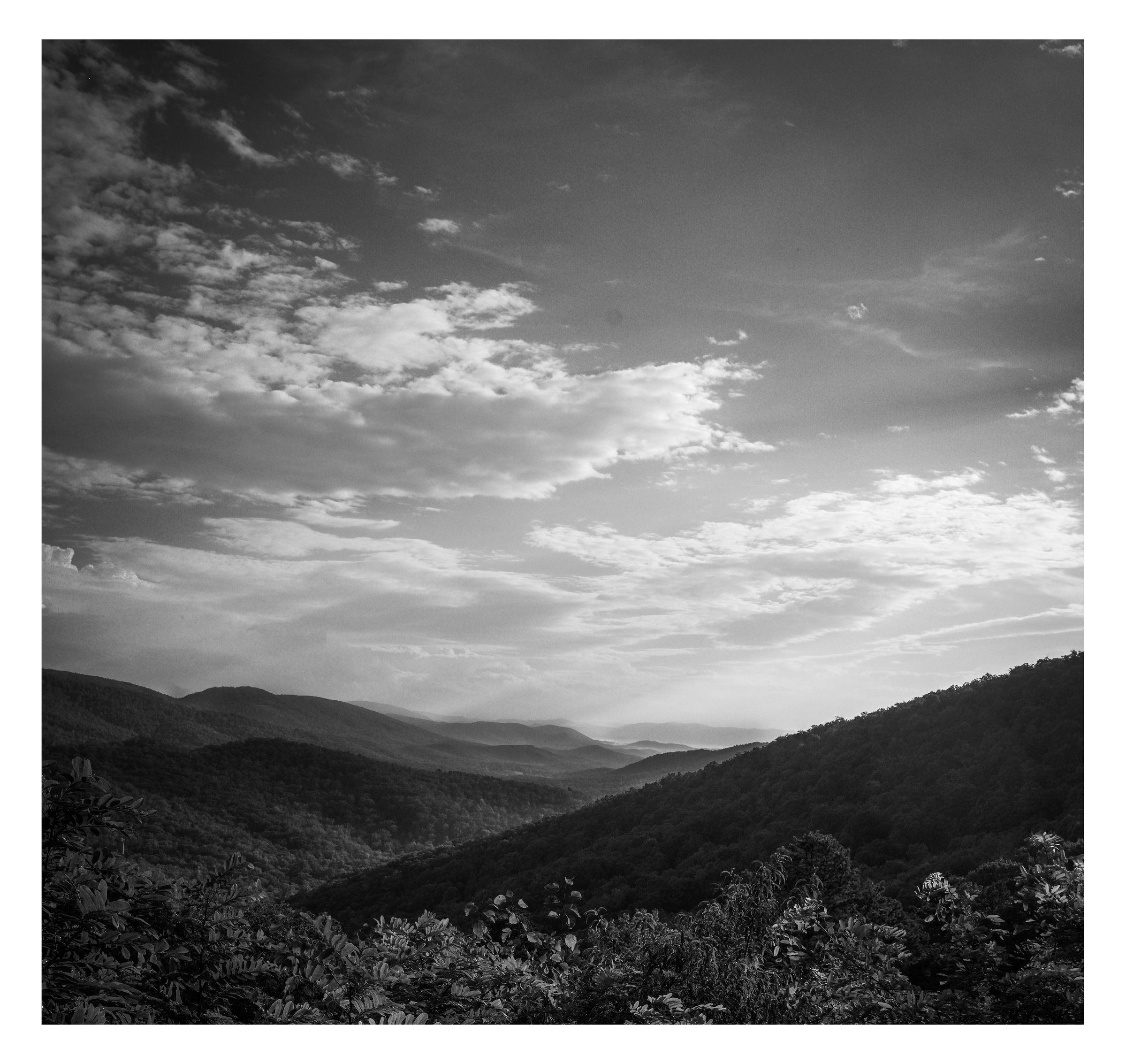 Nature photograph 49 by William Everett