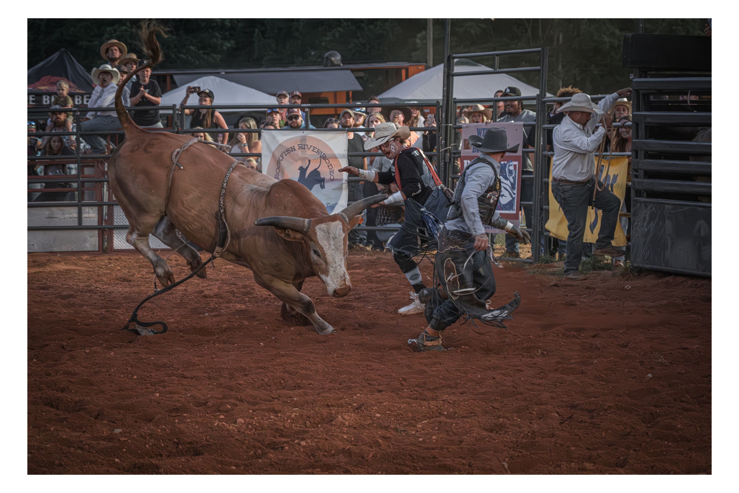 Rockfish River Rodeo 2026 photograph 36 by William Everett