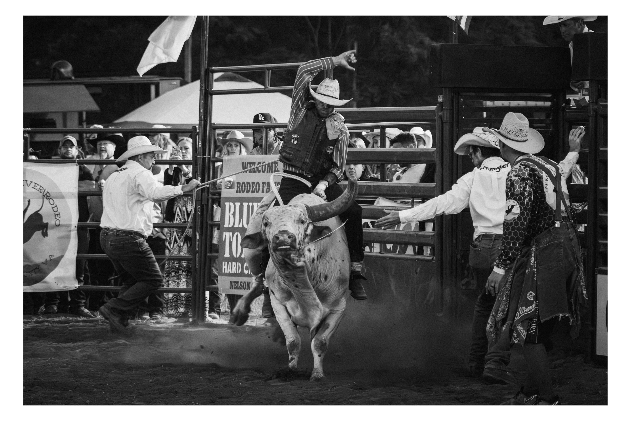 Rockfish River Rodeo 2026 photograph 37 by William Everett