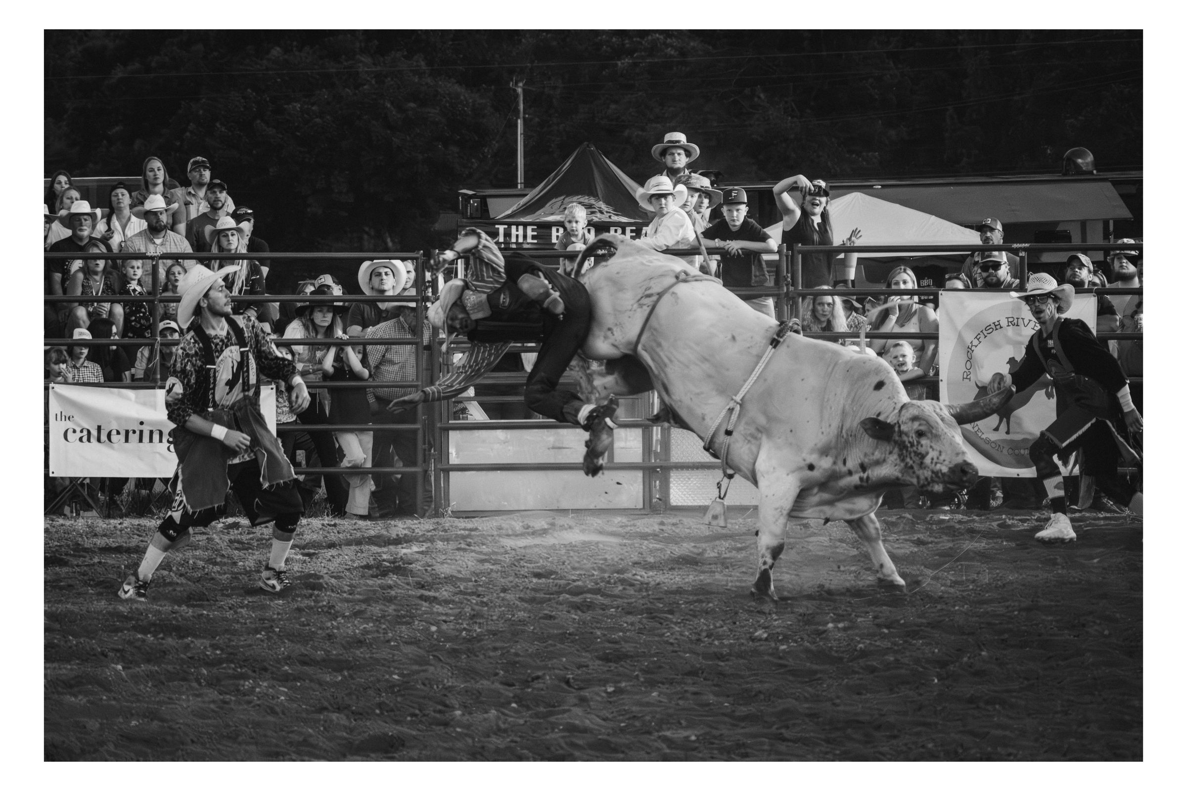 Rockfish River Rodeo 2026 photograph 39 by William Everett
