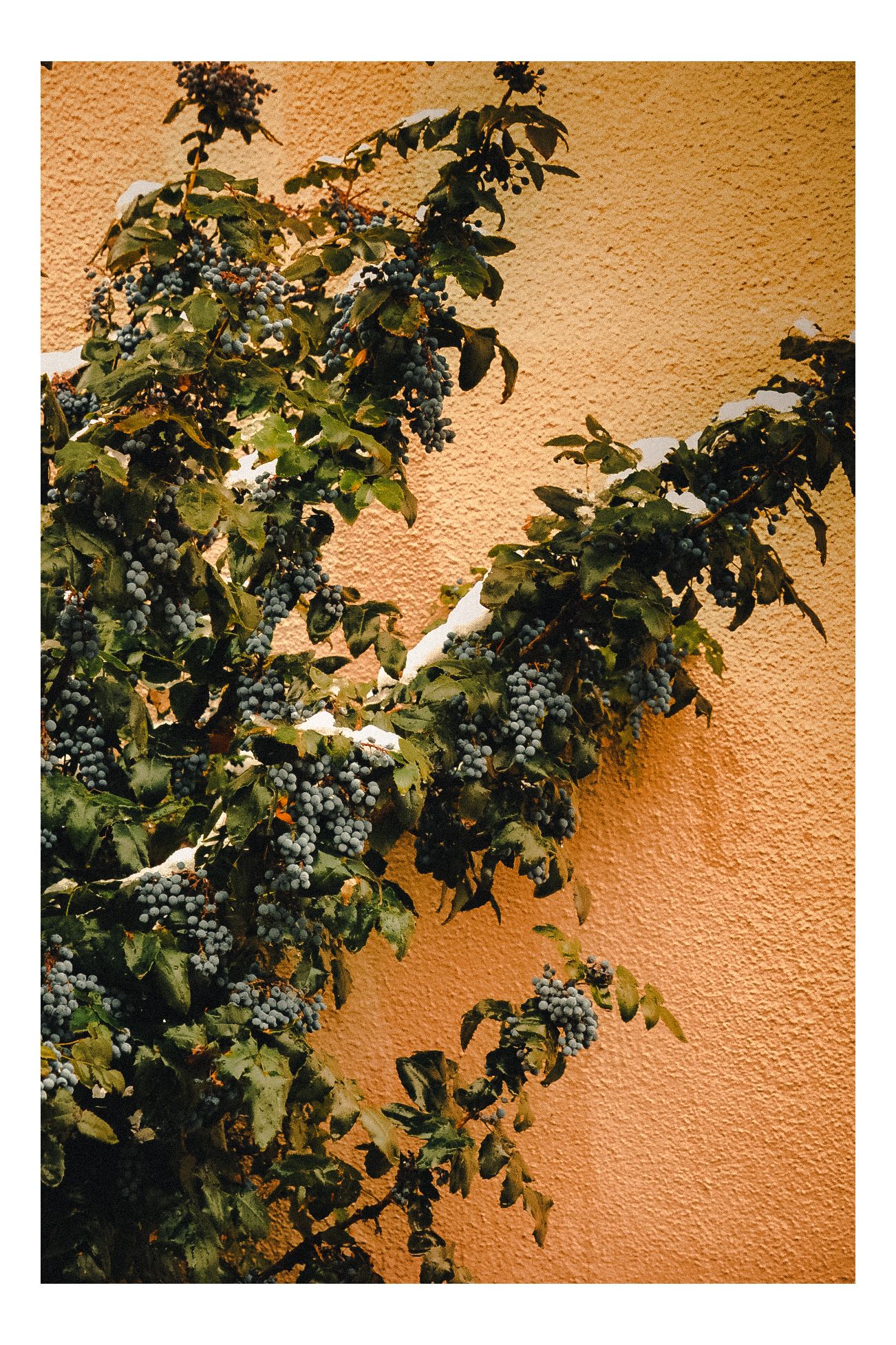 Santa Fe, NM photograph 4 by William Everett